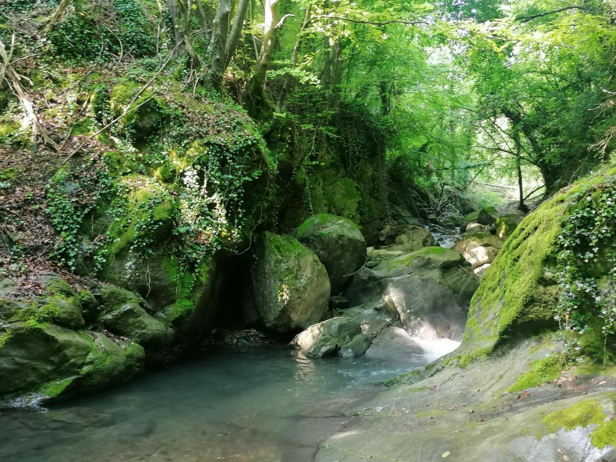 Les Pedres Villa Camprodon Luaran gambar