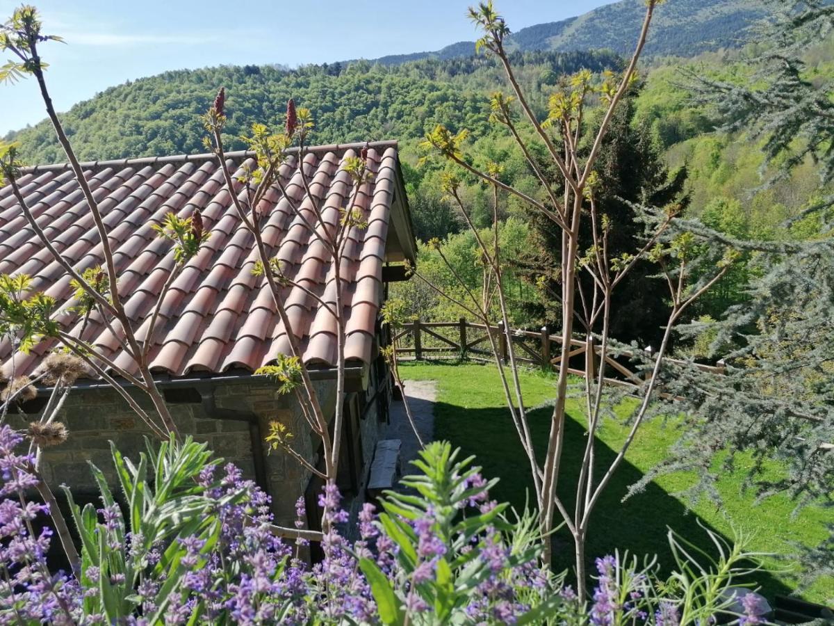 Les Pedres Villa Camprodon Luaran gambar